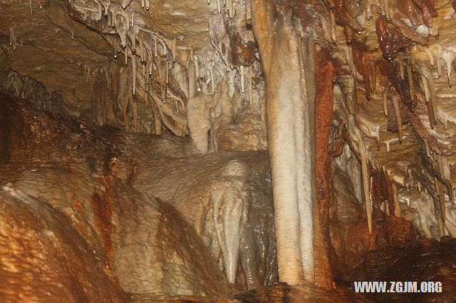 夢見小金魚_周公解夢夢到小金魚是什麼意思_做夢夢見小金魚好不好_周公解夢官網