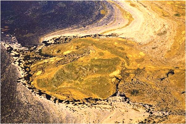 夢到了黑色咬自己流黑血有什麼預示嗎_周公解夢官網