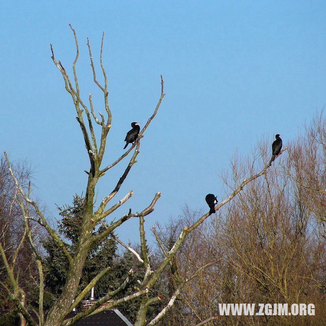 夢見眼睛跳_周公解夢夢到眼睛跳是什麼意思_做夢夢見眼睛跳好不好_周公解夢官網