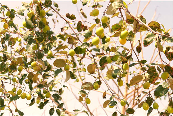 夢到門關不上代表著什麼_周公解夢官網