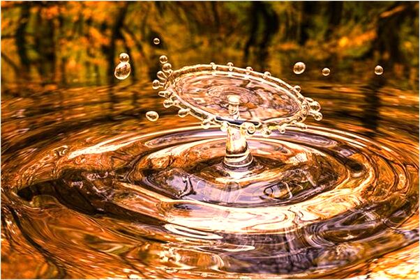 夢到了和同學去明星家裡做客意味著什麼_周公解夢官網