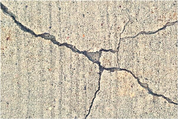 夢到了螃蟹把孩子吃了意味什麼_周公解夢官網