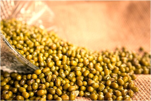 夢到了自己又去讀書好不好_周公解夢官網