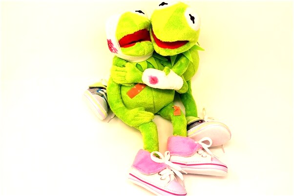 夢見撿到小狗有什麼預兆_周公解夢官網