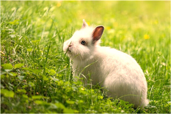 夢到和女人睡在一起代表什麼_周公解夢官網