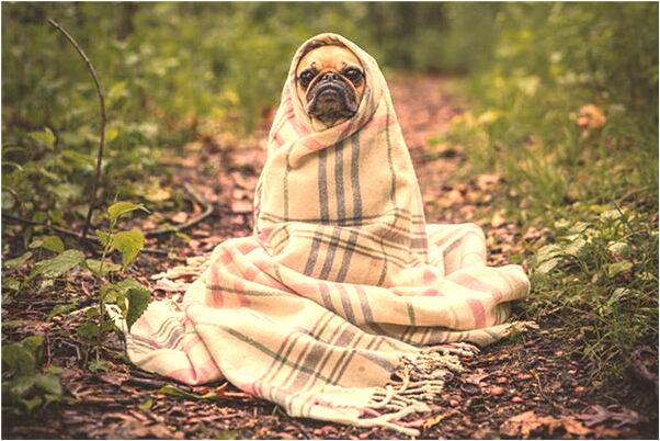 夢到救落水的朋友意味著什麼_周公解夢官網