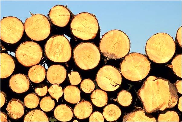 夢見和失去的愛人一起跳湖自殺是好是壞_周公解夢官網