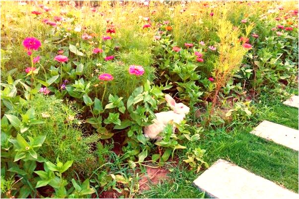 夢見吃滋粑有什麼意思嗎_周公解夢官網