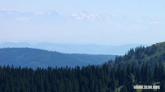 夢見別人的照片_周公解夢夢到別人的照片是什麼意思_做夢夢見別人的照片好不好_周公解夢官網