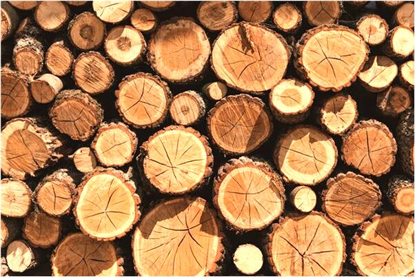 夢到雞從天上掉下來沒事怎么樣_周公解夢官網