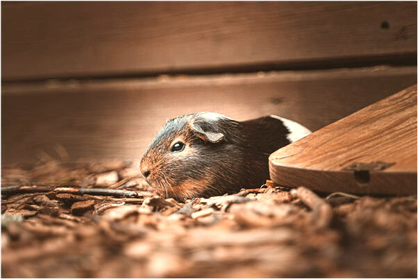 夢到了一座大墳頭意味著什麼_周公解夢官網