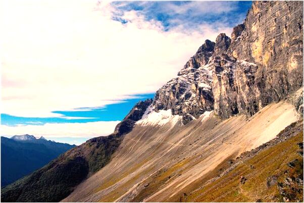 夢到死去的親人親我是不是好的徵兆呢_周公解夢官網