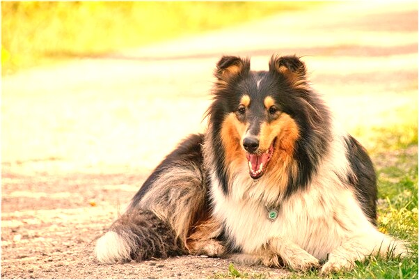 夢到地板燒焦是好是壞_周公解夢官網
