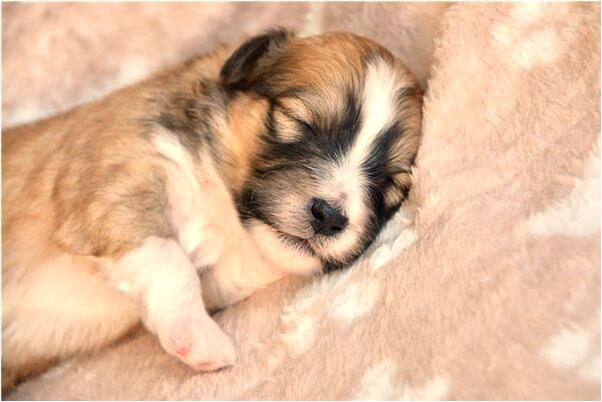 夢見朋友做生意發了大財是什麼意思_周公解夢官網