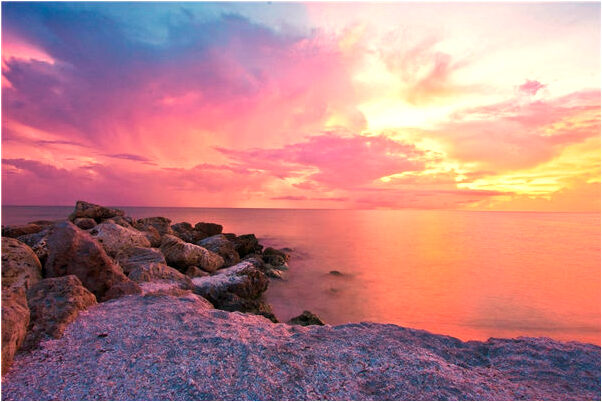 夢到了他人幫忙捉魚代表著什麼？_周公解夢官網