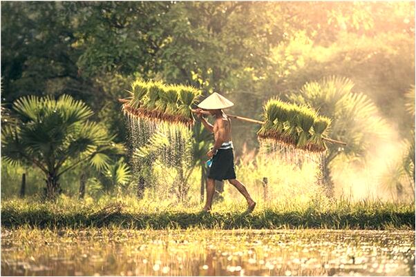 夢到自己掉在懸崖邊上會是什麼預兆_周公解夢官網