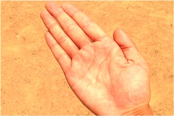 夢見廚房上空有許網是好是壞_周公解夢官網