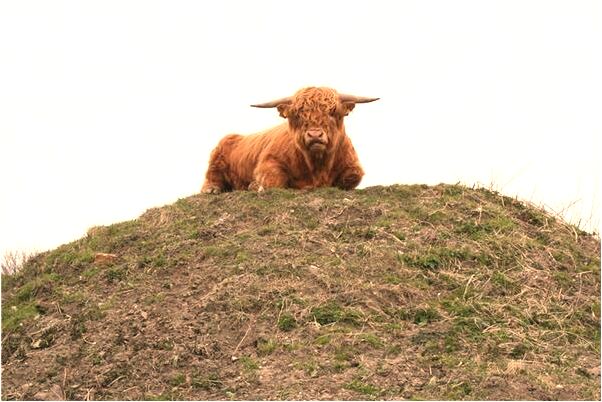 夢到被小孩嚇會是什麼預兆_周公解夢官網