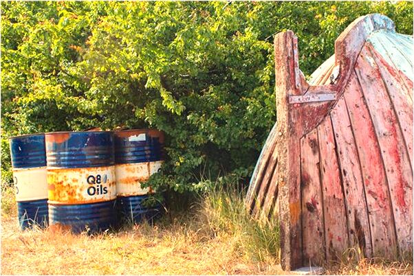 夢到白鴿飛到我家是凶兆還是吉兆_周公解夢官網