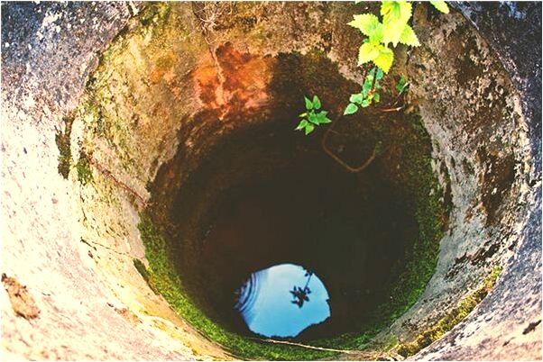 夢到吃吃筍是不是好的徵兆呢_周公解夢官網