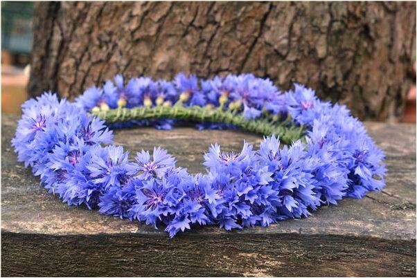 夢到自己男朋友離開了有什麼預兆_周公解夢官網