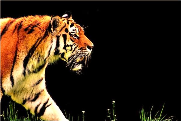 夢到同學孩子滿月忘記去參加什麼寓意_周公解夢官網