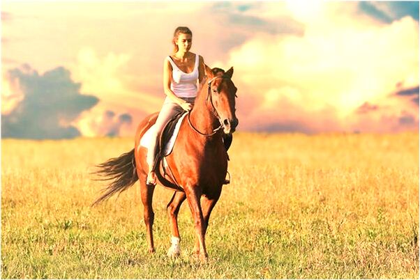 夢到很多狗追我有什麼寓意嗎_周公解夢官網