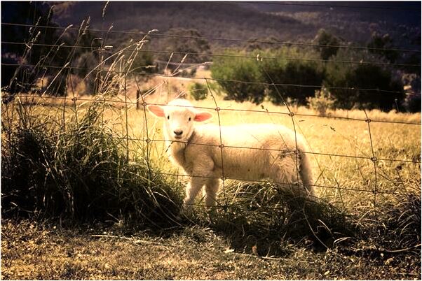 夢到機車代表著什麼_周公解夢官網