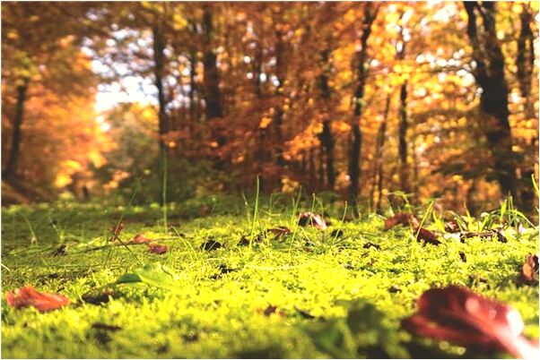 夢見坐在情人腳踏車上什麼寓意_周公解夢官網