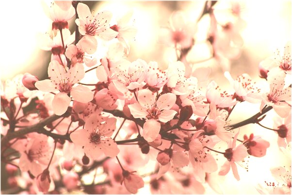 夢到了死去軍人是什麼意思_周公解夢官網