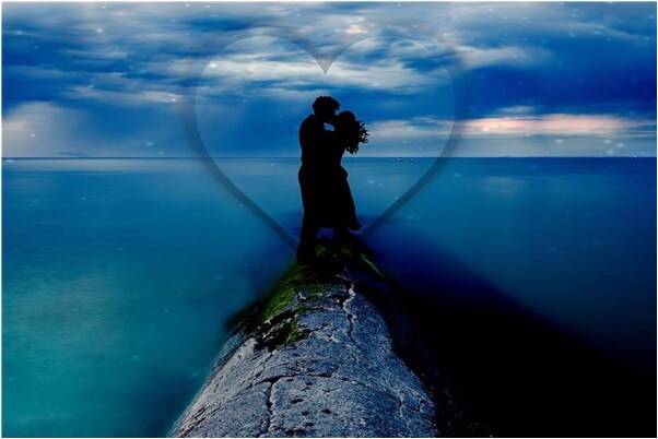 夢見豬撲孩子有何寓意_周公解夢官網