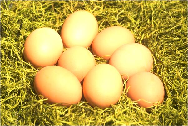 夢見與老婆在路邊做愛是什麼徵兆_周公解夢官網