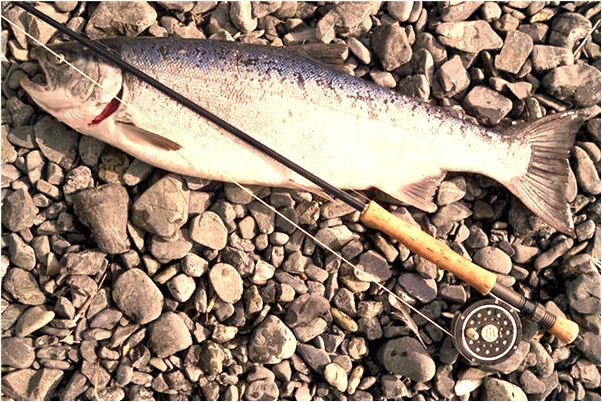 夢到了明天就是死期有什麼寓意嗎_周公解夢官網