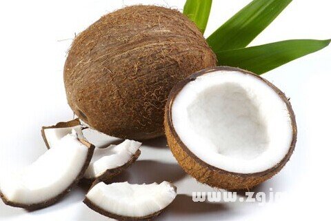 Dream of coconut