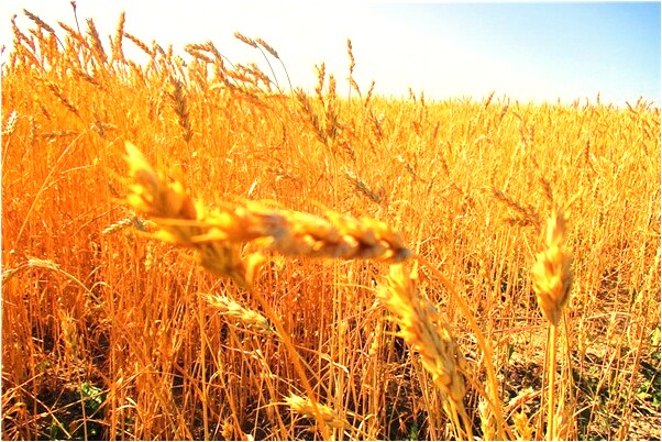 夢見與喜歡的人打架是什麼預兆_周公解夢官網