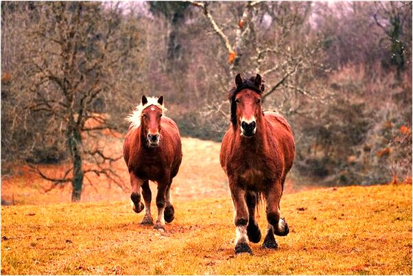 夢到同學借我錢還賬是好事還是壞事_周公解夢官網