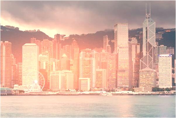 夢到仙人掌刺代表著什麼_周公解夢官網