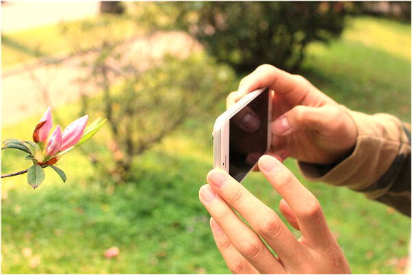 夢到被人陷害投錢是不是好的徵兆呢_周公解夢官網