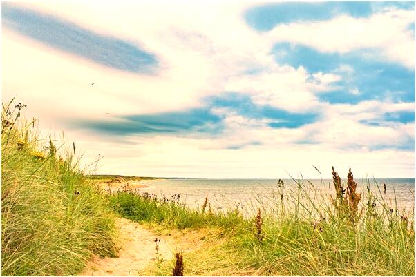 夢到了在海邊丟了車是吉兆嗎?_周公解夢官網