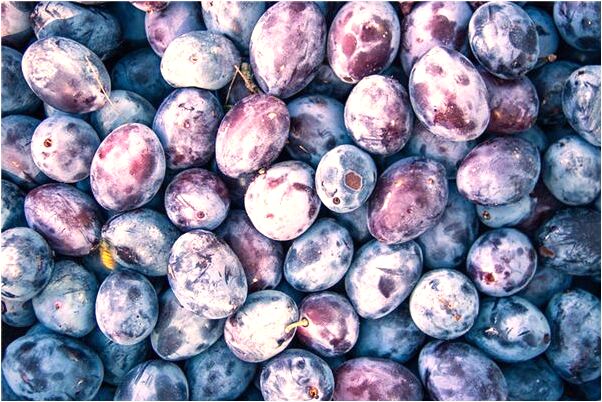 夢到手子流血預示了什麼_周公解夢官網