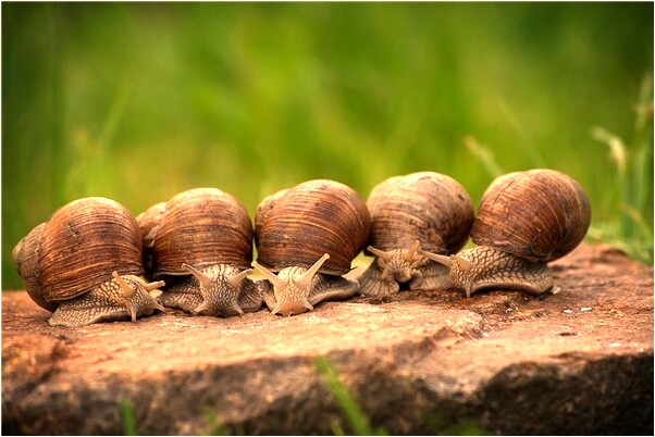 夢到了被鬼附身又被強暴是啥意思_周公解夢官網