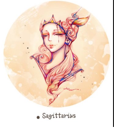 Sagittarius boys put marriage psychological _ the zodiac