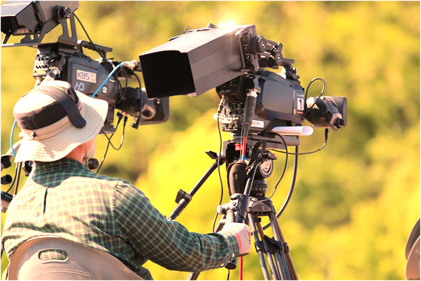 夢到了鐵被人偷了意味著什麼_周公解夢官網