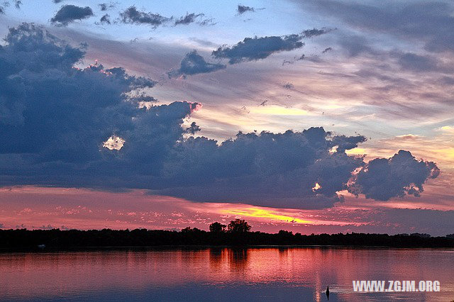 夢見紅薯苗_周公解夢夢到紅薯苗是什麼意思_做夢夢見紅薯苗好不好_周公解夢官網