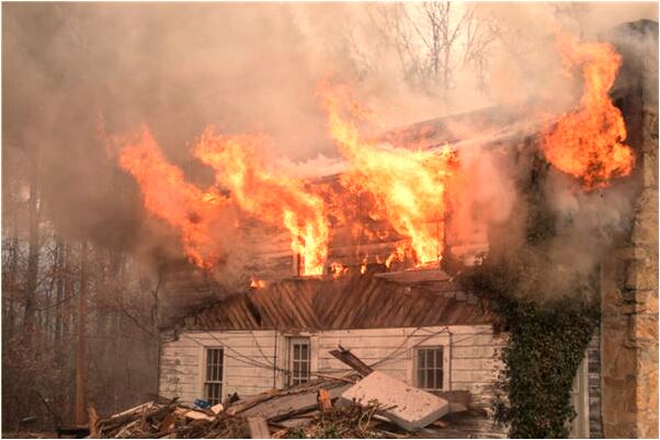 夢見捉到斑鳩怎么回事_周公解夢官網