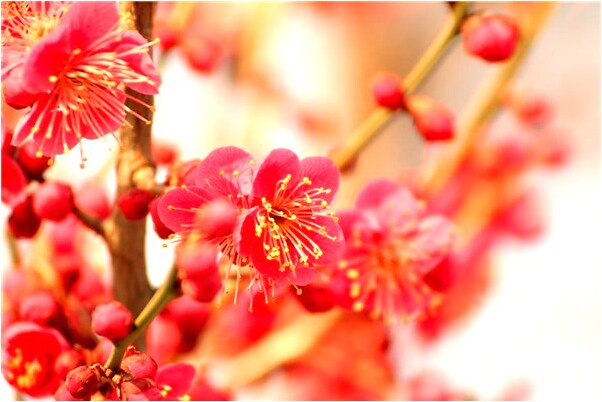 夢見親小女孩臉蛋是什麼意思_周公解夢官網