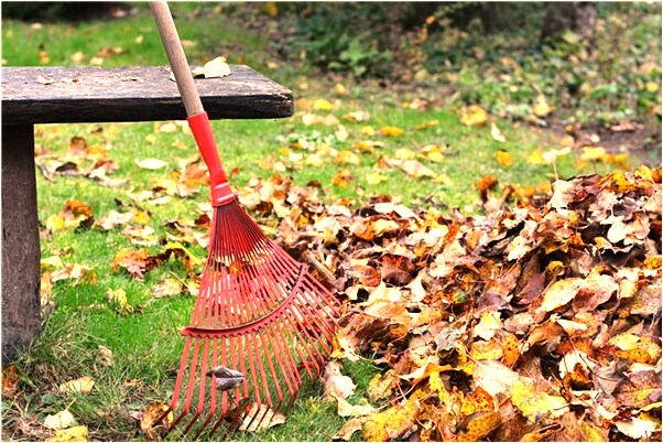 夢見很多牛羊會有什麼預兆_周公解夢官網