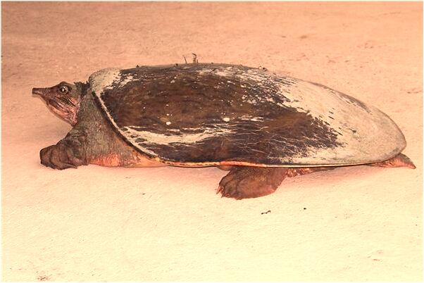 夢到了男友跟自己吵架分手有什麼意義嗎_周公解夢官網