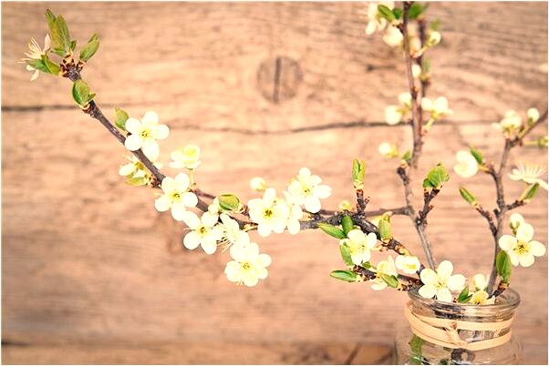 夢到救人後與婦人性交是凶兆還是吉兆_周公解夢官網