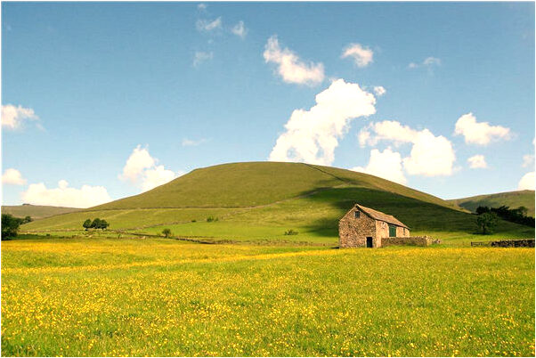 夢到看見老朋友懷了他的孩子是什麼兆頭_周公解夢官網